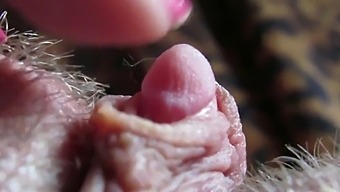 Intenzivní Zaměření Na Mé Výrazné Pulzování Špičky Klitorisu